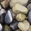 morag smith stones