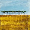 Morag Smith tall trees at benholm