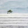 Morag Smith Arbuthnott