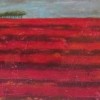 Morag Smith red field near Johnshaven