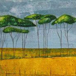 2009 morag smith tall trees at catterline2