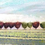 2012 Morag Smith Hedge copy