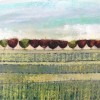Acrylic on canvas (50 x 20cm) PRIVATE COLLECTION