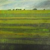 220 Morag Smith Green Field
