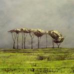 Morag Smiith Tall trees edited 1