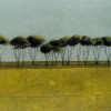 15 Tall Trees near Arbroath Acrylic on board 40 x 20cm 260